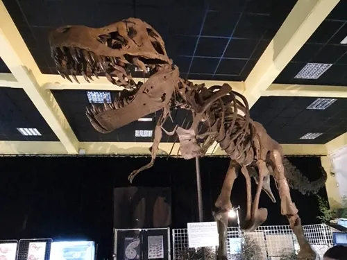 En vidéo : une exposition sur les dinosaures à Dijon
